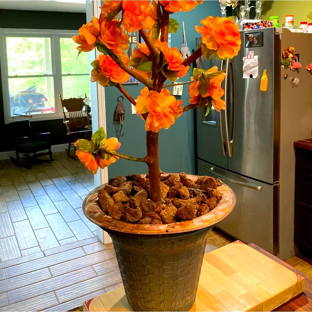 Beautiful floor style tree.